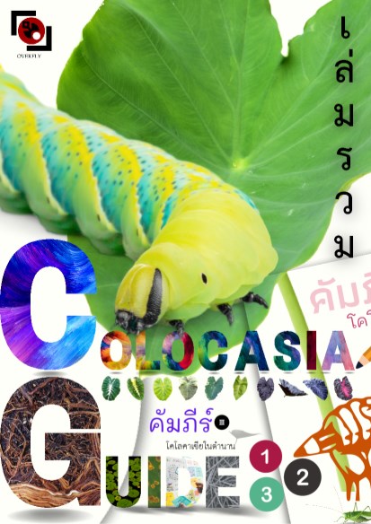 หน้าปก-คัมภีร์โคโลคาเซีย-เล่มรวม123-ทุกเรื่องเกี่ยวกับบอน-ookbee
