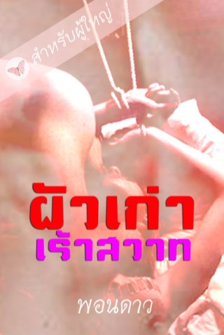 หน้าปก-ผัวเก่าเร้าสวาท-สำหรับผู้ใหญ่-ookbee