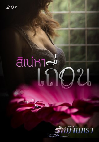 หน้าปก-สิเน่หาเถื่อน-ookbee