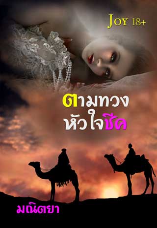 หน้าปก-ตามทวงหัวใจชีค-ookbee