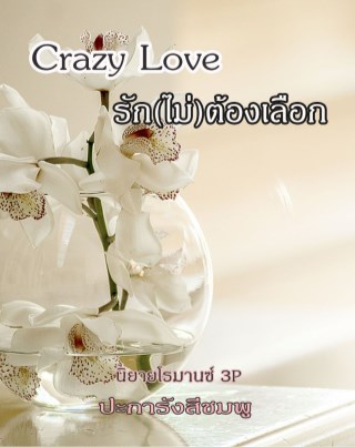 หน้าปก-crazy-love-รัก-ไม่-ต้องเลือก-ookbee