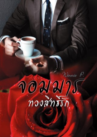 หน้าปก-จอมมาร-ทวงสิทธิ์รัก-ookbee