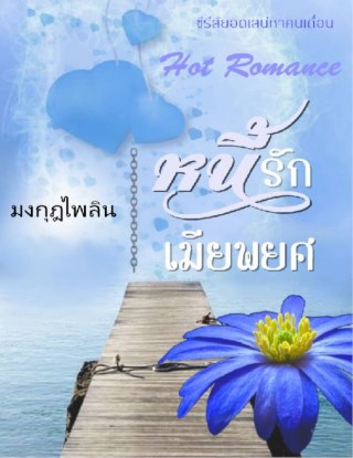 หน้าปก-หนี้รักเมียพยศ-ookbee