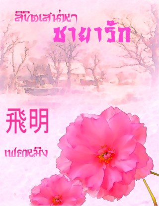 หน้าปก-ลิขิตเสน่หา-ชายารัก-ookbee