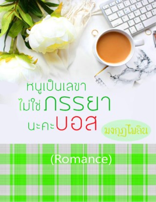 หน้าปก-หนูเป็นเลขา-ไม่ใช่ภรรยานะคะบอส-ookbee