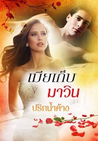 หน้าปก-เมียเก็บมาวิน-ookbee