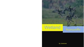 หน้าปก-lahan-wetland-ookbee