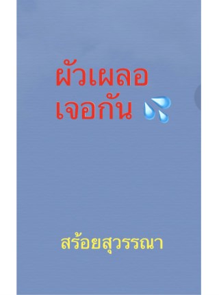 หน้าปก-ผัวเผลอเจอกัน-ookbee