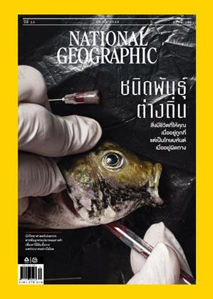 national-geographic-ฉบับภาษาไทย-october-2025-หน้าปก-ookbee