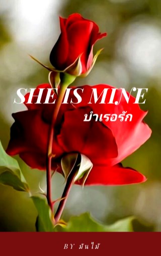 หน้าปก-she-is-mine-บำเรอรัก-ookbee