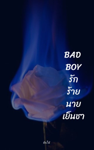 หน้าปก-bad-boy-รักร้ายนายเย็นชา-ookbee