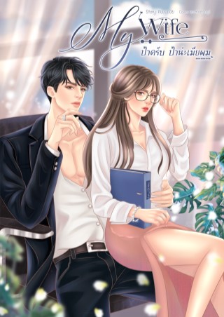 หน้าปก-ป้าครับ-ป้าน่ะเมียผม-ookbee