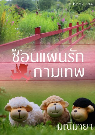 หน้าปก-ซ้อนแผนรักกามเทพ-ookbee