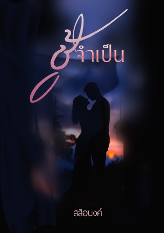 หน้าปก-ชู้จำเป็น-ookbee