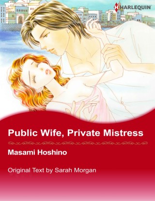 หน้าปก-public-wife-private-mistress-ookbee