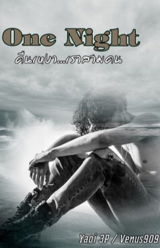 หน้าปก-one-night-คืนเหงา-เราสามคน-ookbee