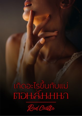 เกิดอะไรขึ้นกับแม่ตอนสัมมนา-หน้าปก-ookbee