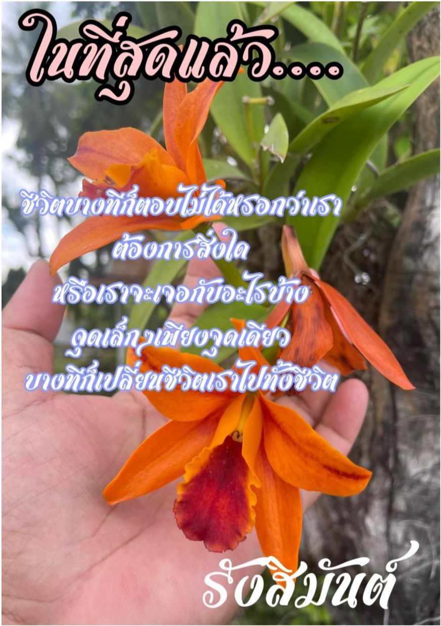 หน้าปก-ในที่สุดแล้ว-ookbee
