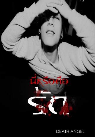 หน้าปก-นี่หรือคือรัก-ookbee