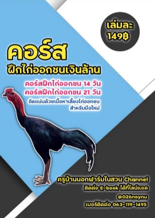 หน้าปก-คอร์สฝึกไก่ออกชนเงินล้าน-ookbee