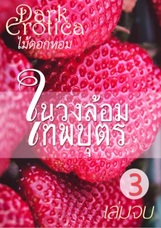 หน้าปก-ในวงล้อมเทพบุตร-เล่ม-3-สำหรับผู้ใหญ่-เล่มจบ-ookbee