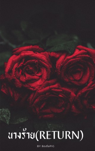 หน้าปก-นางร้ายreturn-ookbee